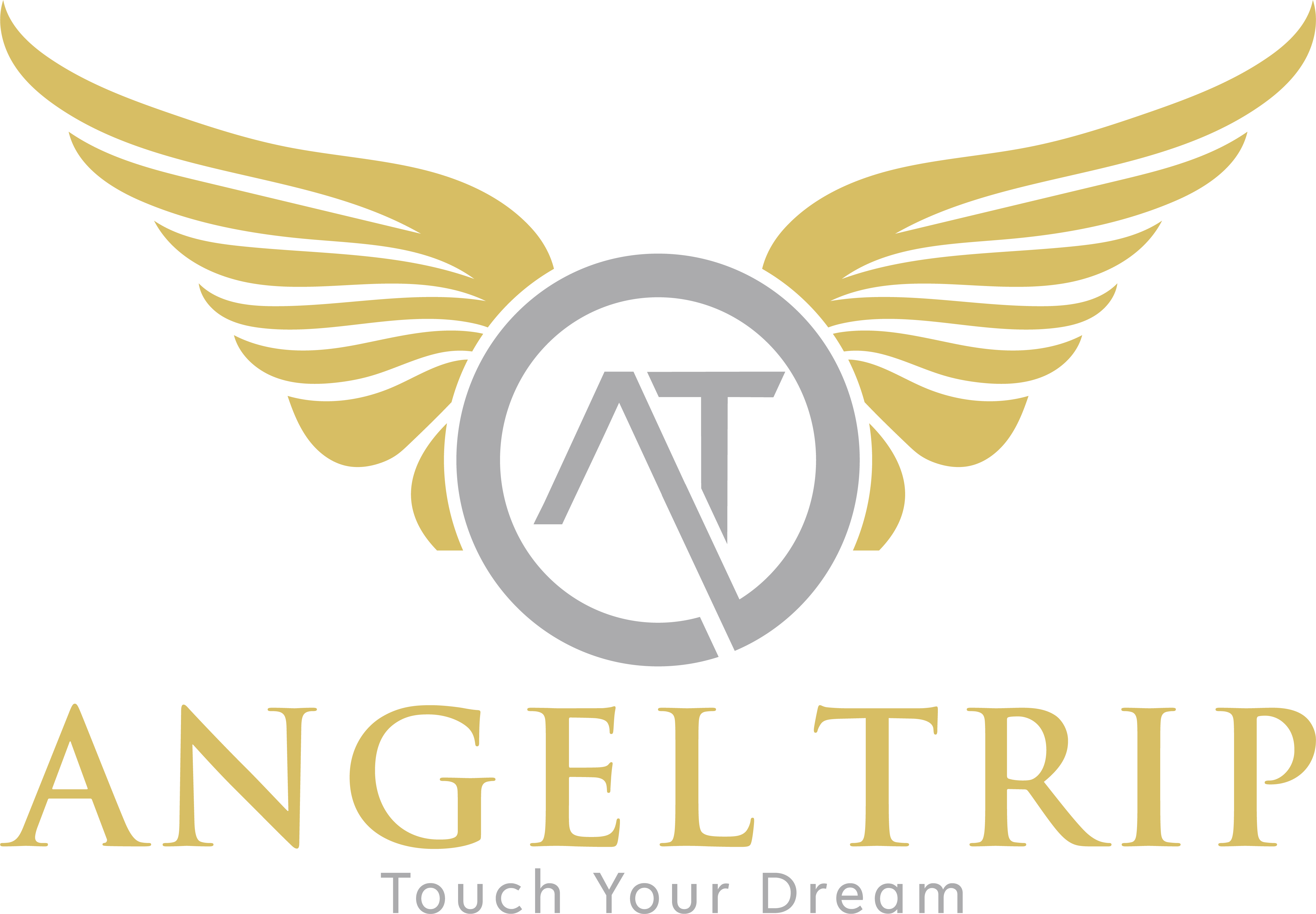 Angel Trip